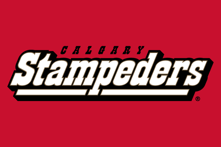 calgary stampeders 2000-2011 wordmark logo v3 t shirt iron on transfers